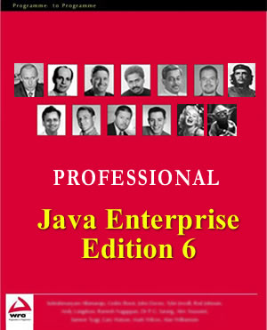 javaee6book